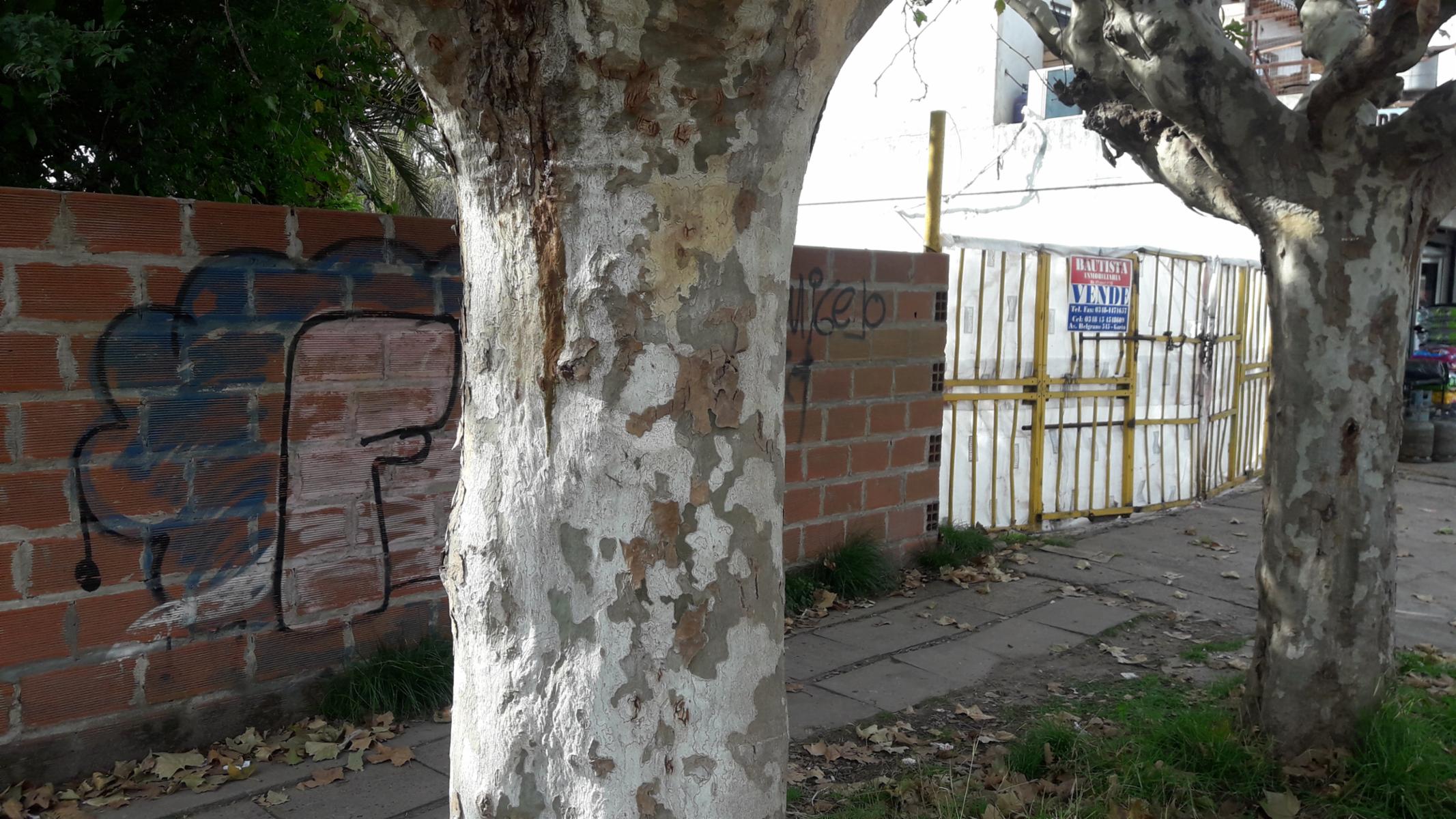 excelente lote en venta - Garin — foto 5