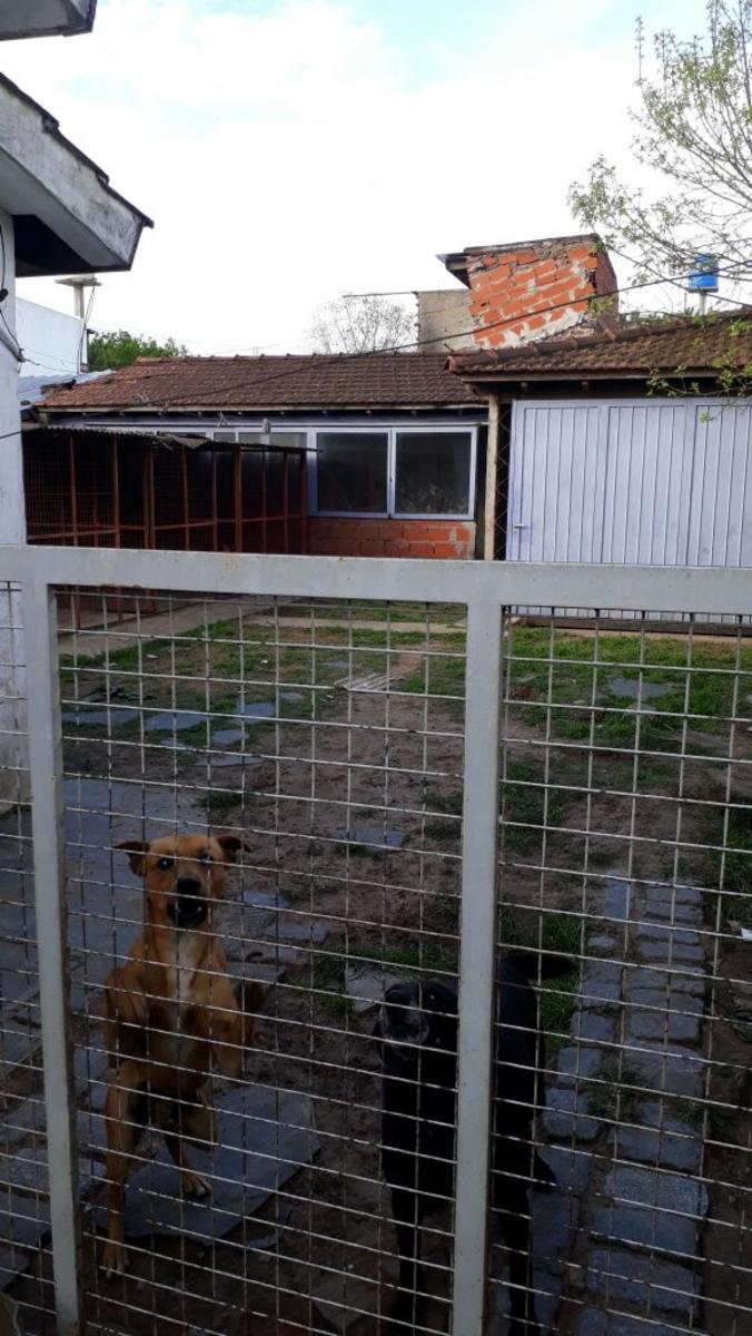 VENTA.- CASA Dr.Felix Burgos 1200, Moron, Buenos Aires APTA CREDITO — foto 4