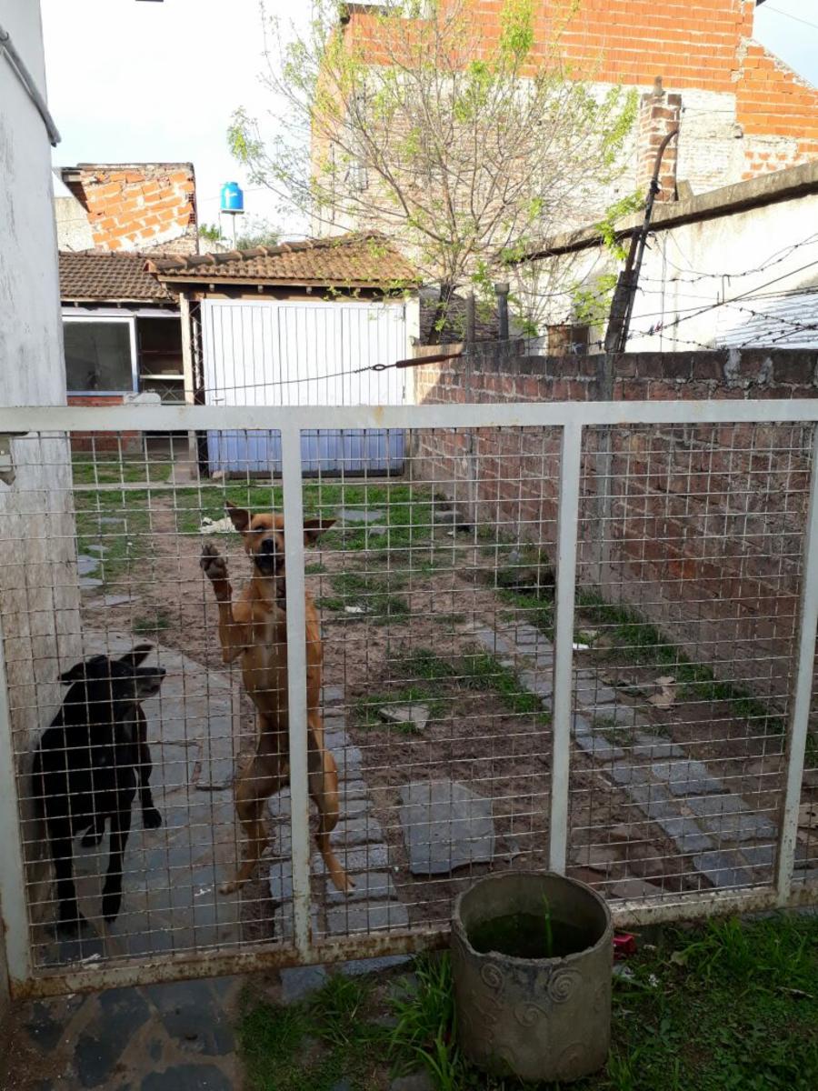 VENTA.- CASA Dr.Felix Burgos 1200, Moron, Buenos Aires APTA CREDITO — foto 9