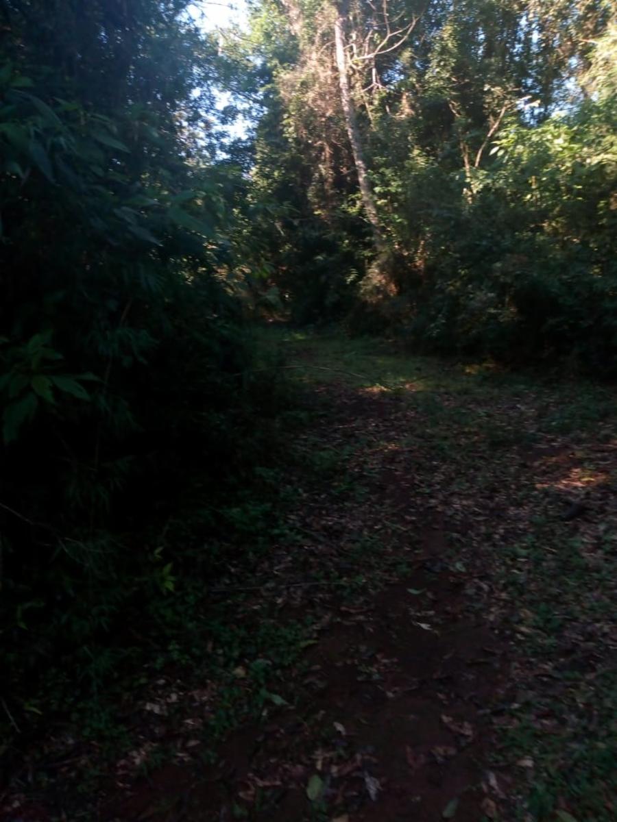 UNA BUENA OPORTUNIDAD PARA INVERTIR EN EL MOCONA /EL SOBERBIO - 7