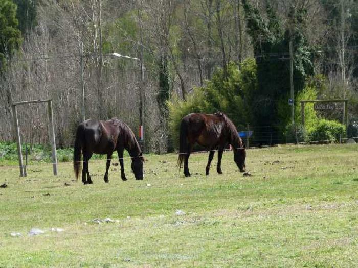 Complejo Turístico en Venta en Tandil, Tandil, Buenos Aires - 13