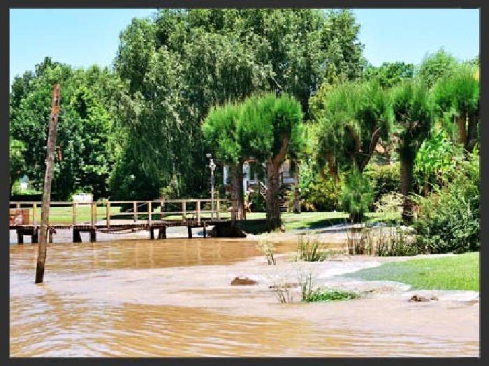 Isla en Venta en Tigre, Buenos Aires - 10