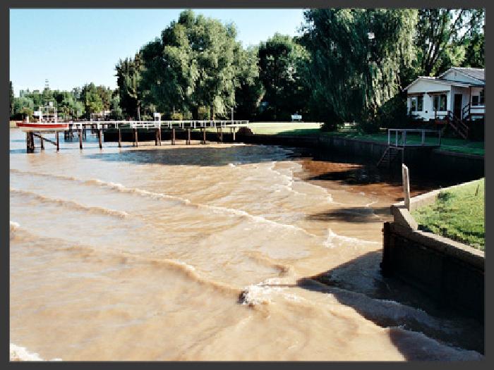 Isla en Venta en Tigre, Buenos Aires - 13