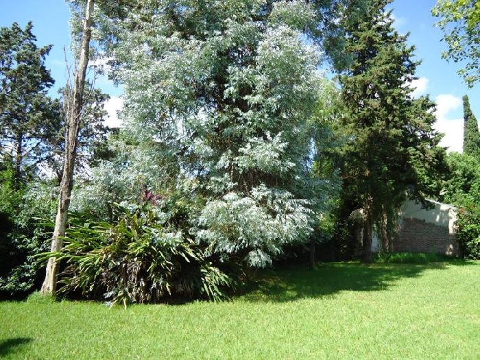 Quinta en Venta en Tigre, Buenos Aires - 24
