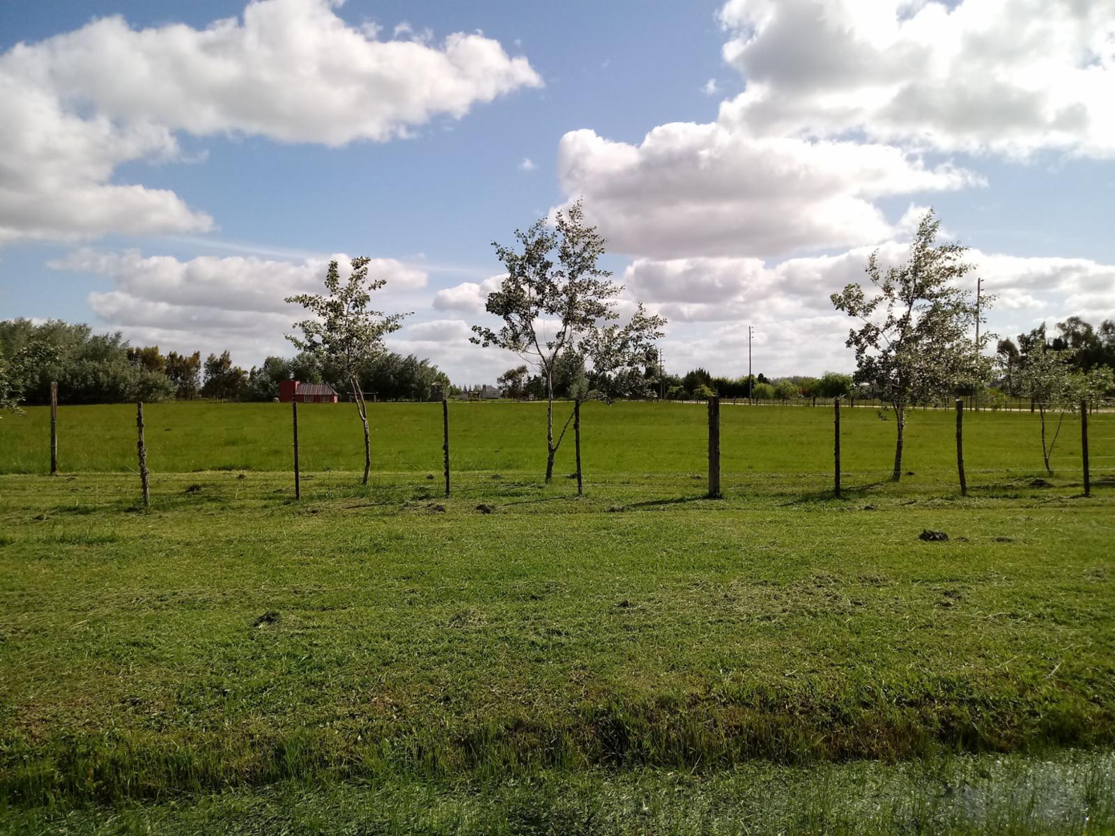 Excelente Lote 1789 m² En Zona De Chacras Listo Para Escriturar en Cañuelas — foto 4