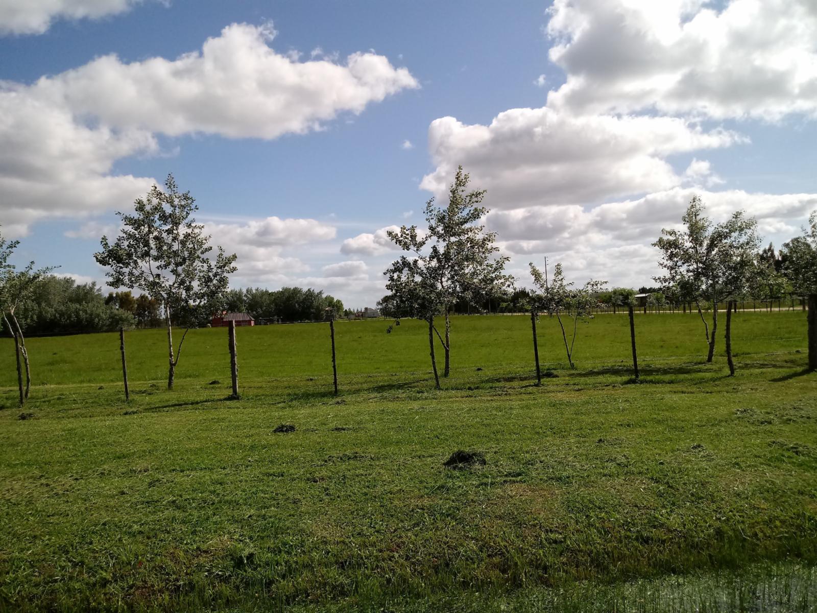 Excelente Lote 1789 m² En Zona De Chacras Listo Para Escriturar en Cañuelas — foto 5