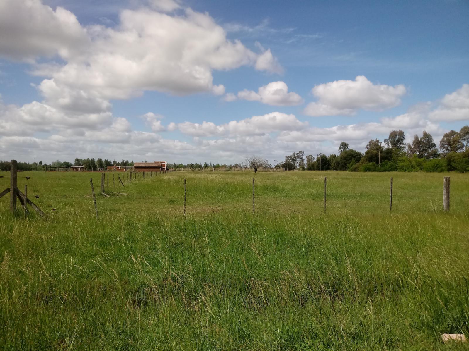 Excelente Lote 1789 m² En Zona De Chacras Listo Para Escriturar en Cañuelas — foto 6