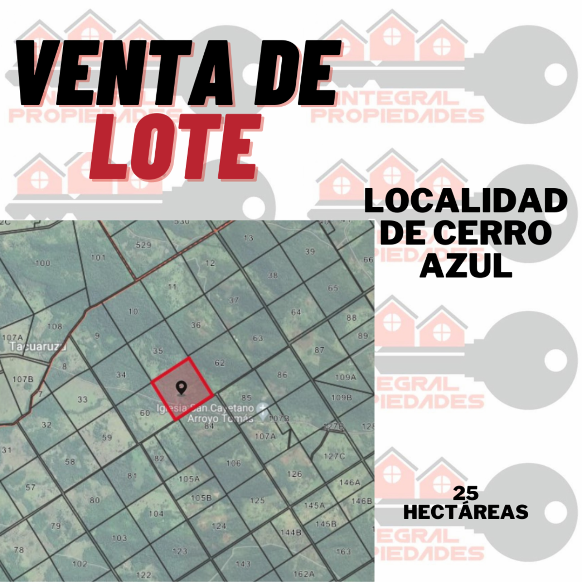 LOTE 271 - CERRO AZUL - 1