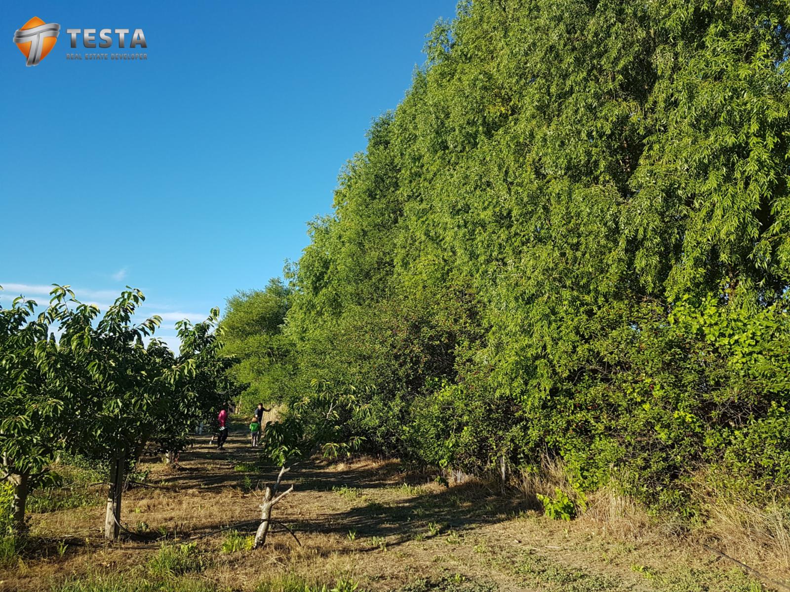 EXCLUSIVOS LOTES EN BARRIO PRIVADO, TRELEW - 2