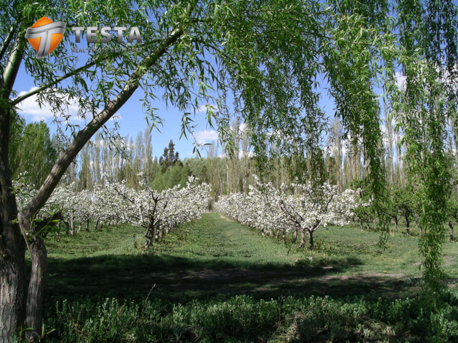 EXCLUSIVOS LOTES EN BARRIO PRIVADO, TRELEW - 3
