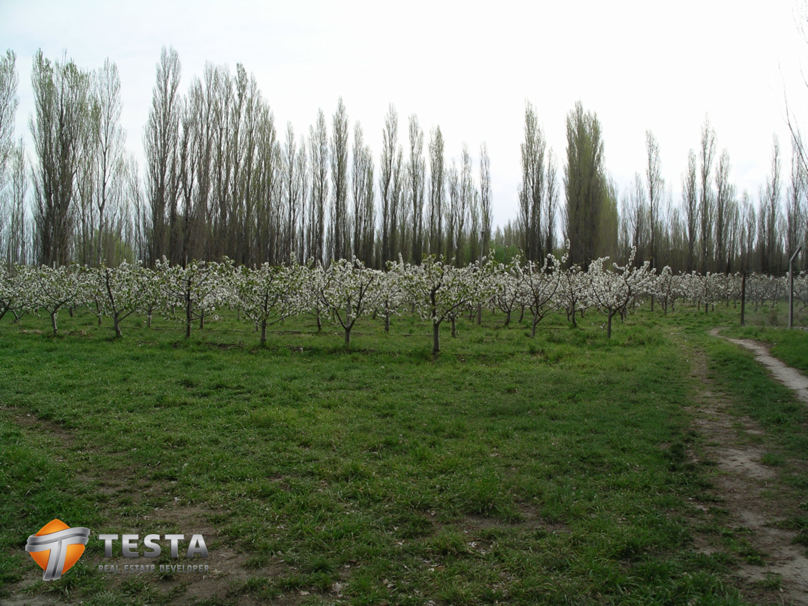 EXCLUSIVOS LOTES EN BARRIO PRIVADO, TRELEW - 4