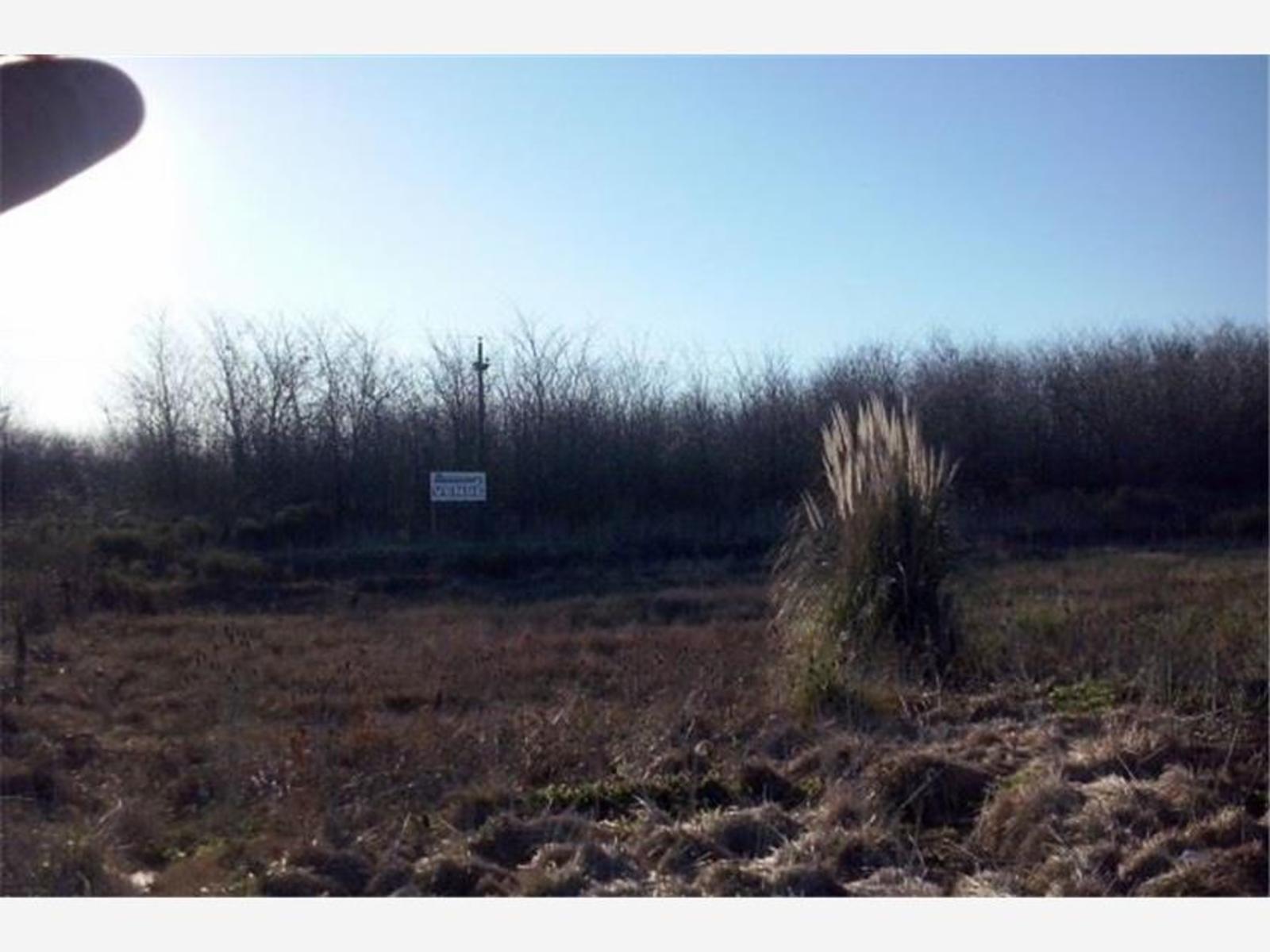 Campo en venta en Navarro - 1
