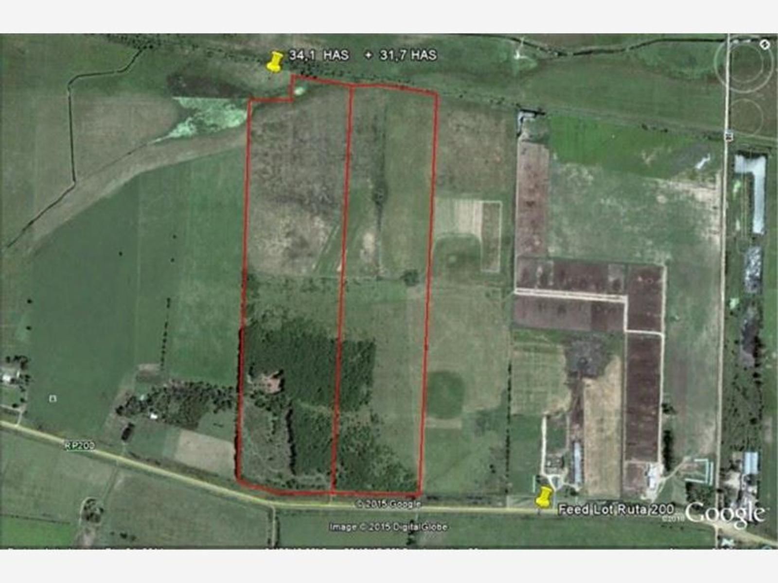 Campo en venta en Navarro - 2