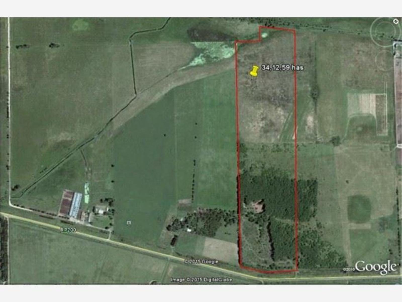 Campo en venta en Navarro - 3