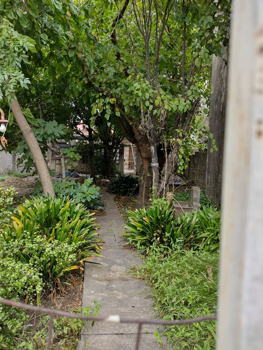 Lote 10x30 - uso comercial - 3