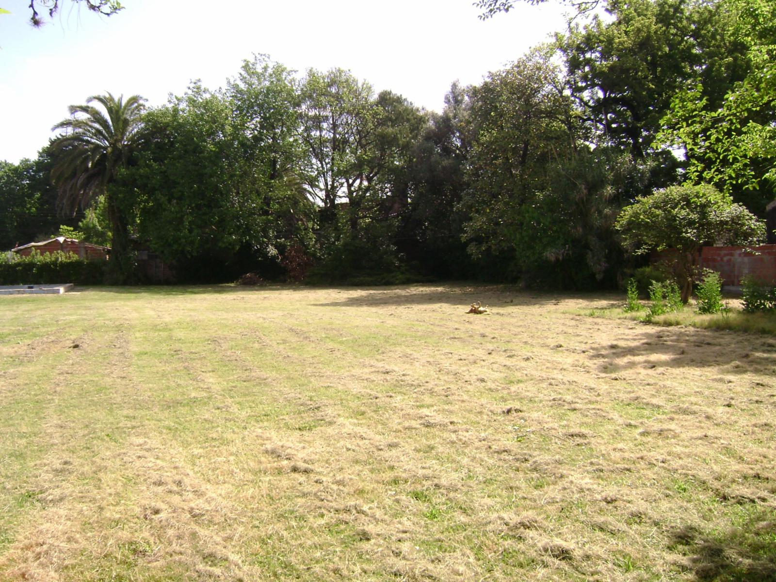 VIVIENDA QUINTA A REFACCIONAR — foto 2