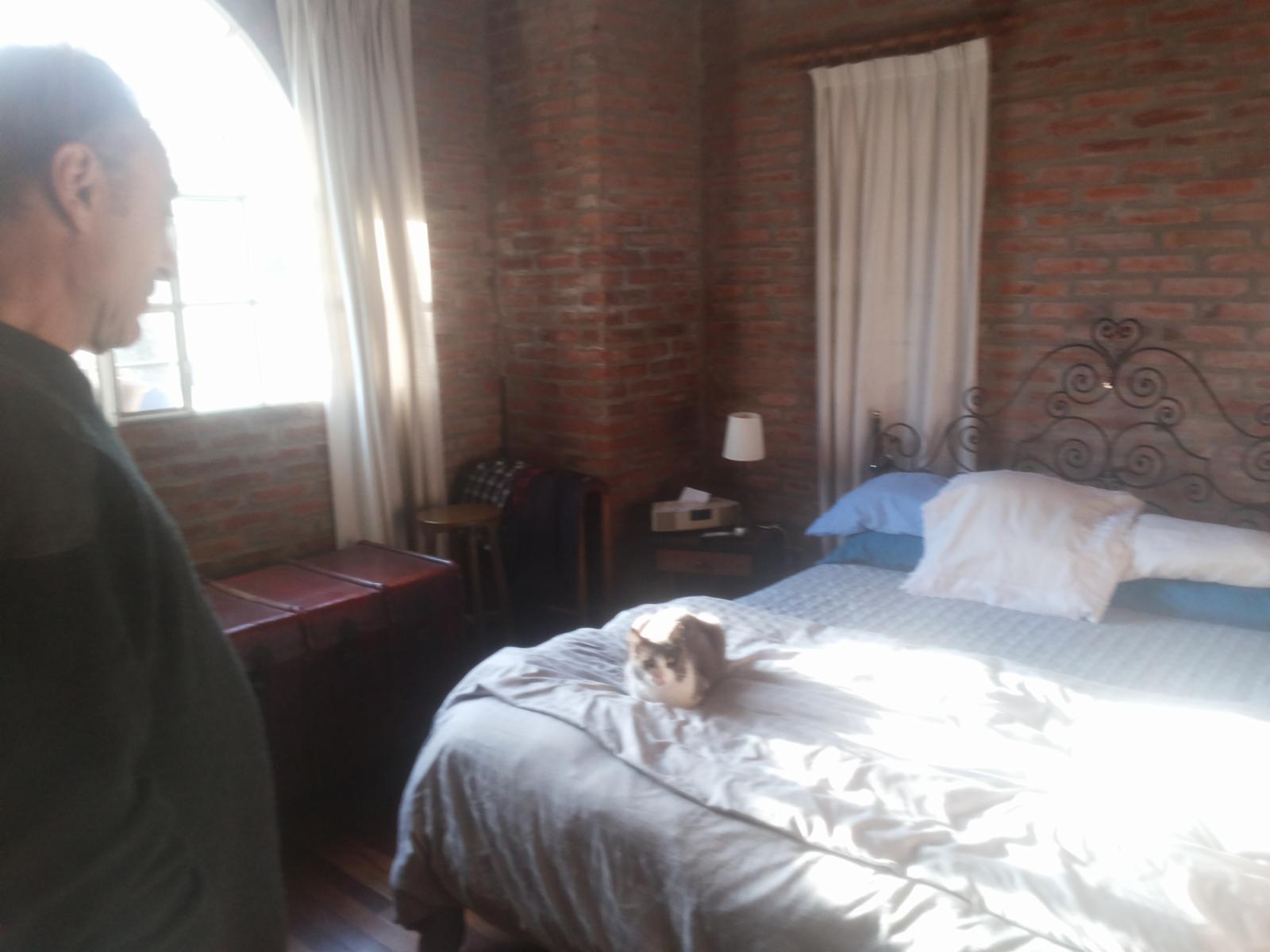 CASA EN VENTA EN BARRIO CERRADO LAS ACACIAS — foto 9