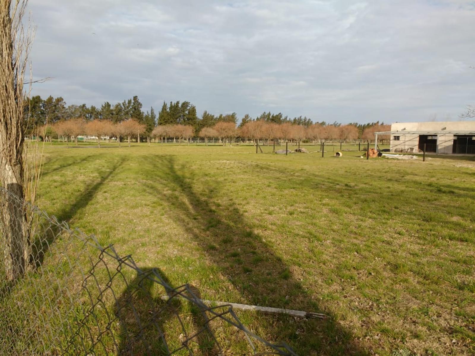 VENDE LOTE EXCELENTE UBICACION EN CLUB DE CAMPO HARAS DE FUNES — foto 4