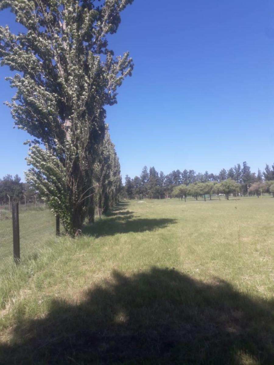 VENDE LOTE EXCELENTE UBICACION EN CLUB DE CAMPO HARAS DE FUNES — foto 6
