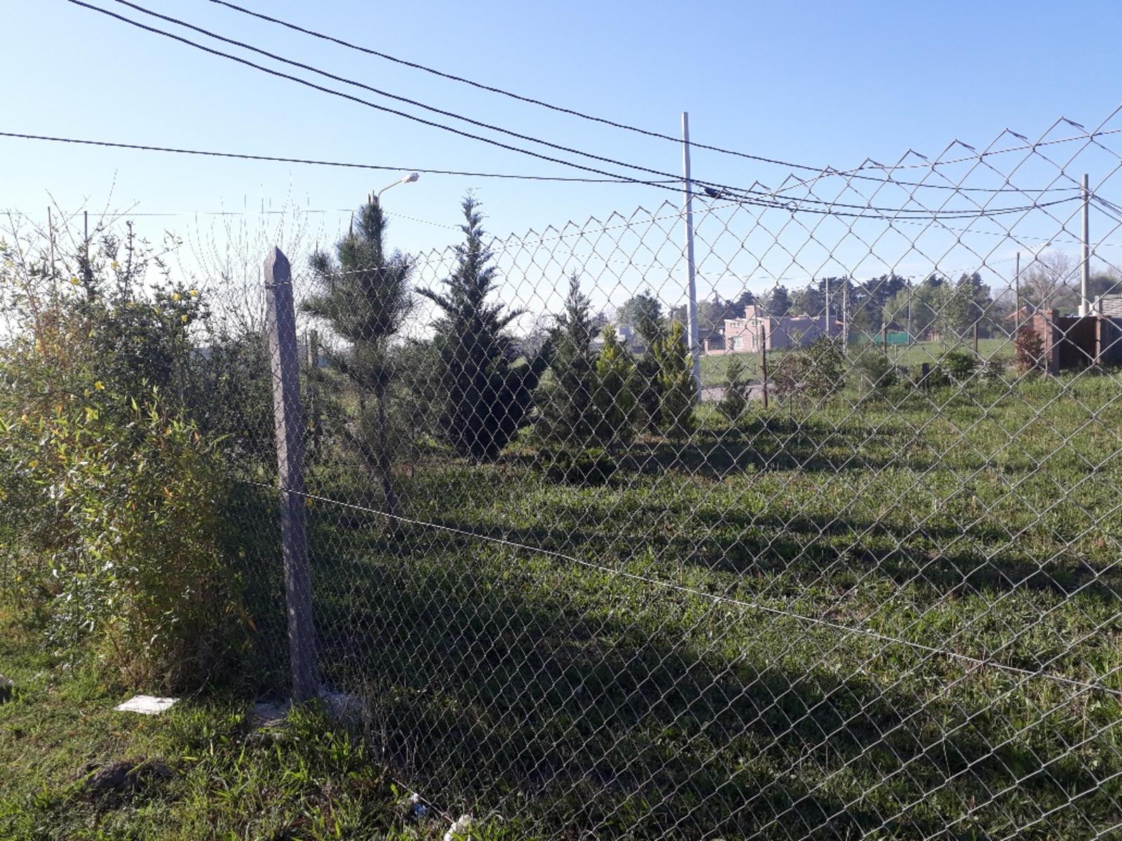 VENDE 2 LOTES LINDEROS-JUTOS O SEPARADOS EN ESQUINA-BARRIO LAS ACEQUIAS ROLDAN — foto 3