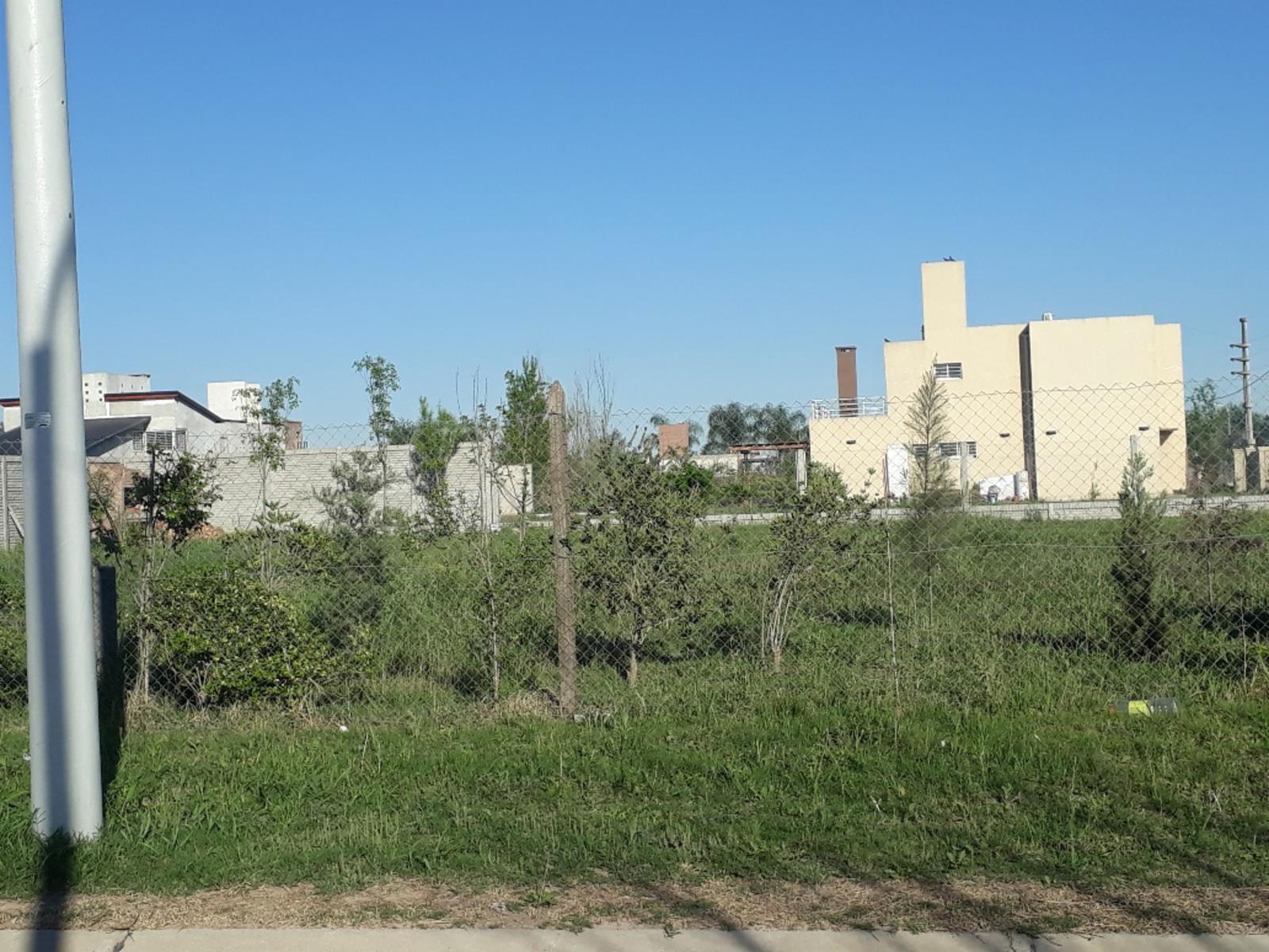 VENDE 2 LOTES LINDEROS-JUTOS O SEPARADOS EN ESQUINA-BARRIO LAS ACEQUIAS ROLDAN — foto 7