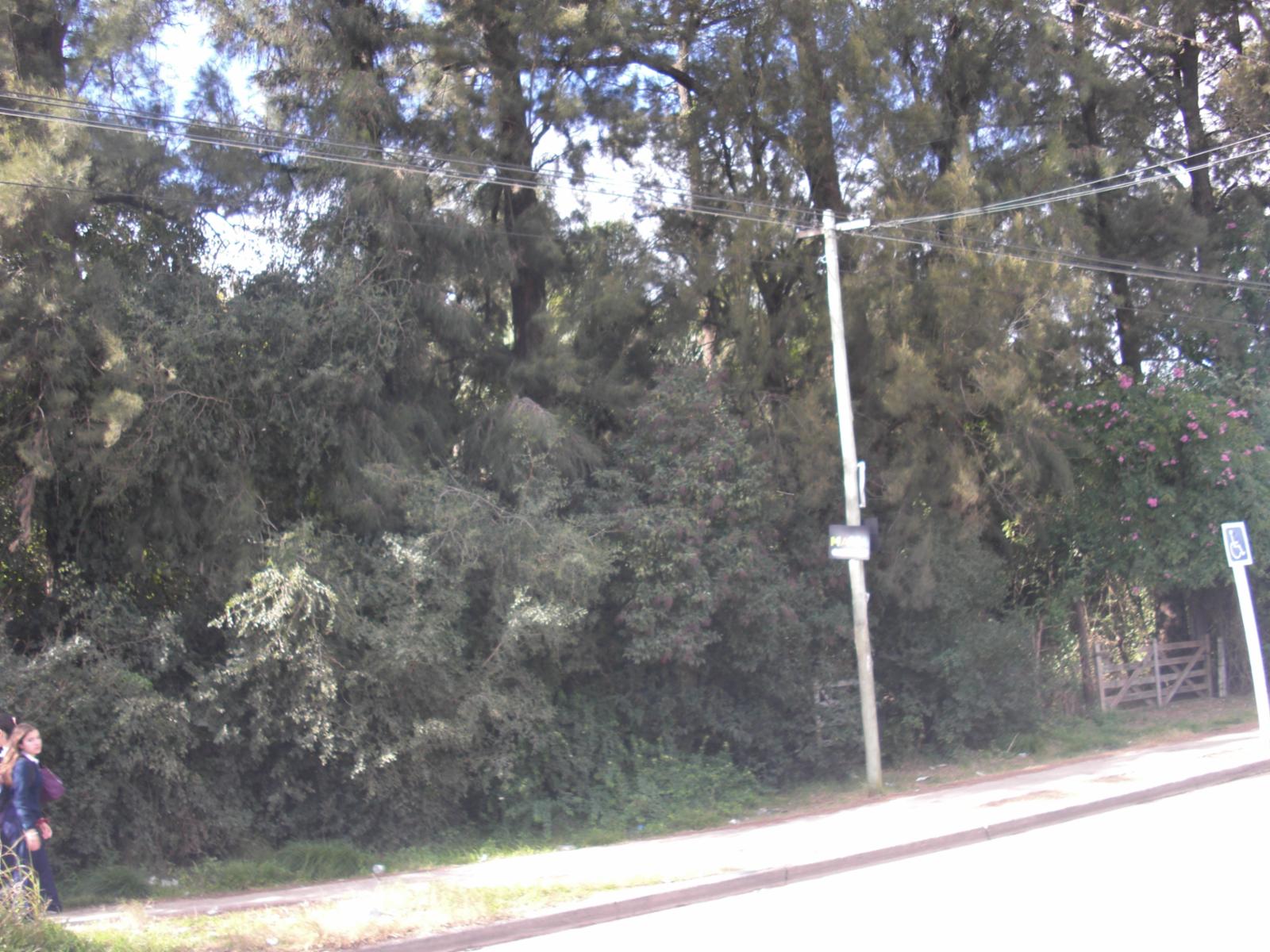Excelente terreno de 60 x 150 en Garin sobre asfalto — foto 4