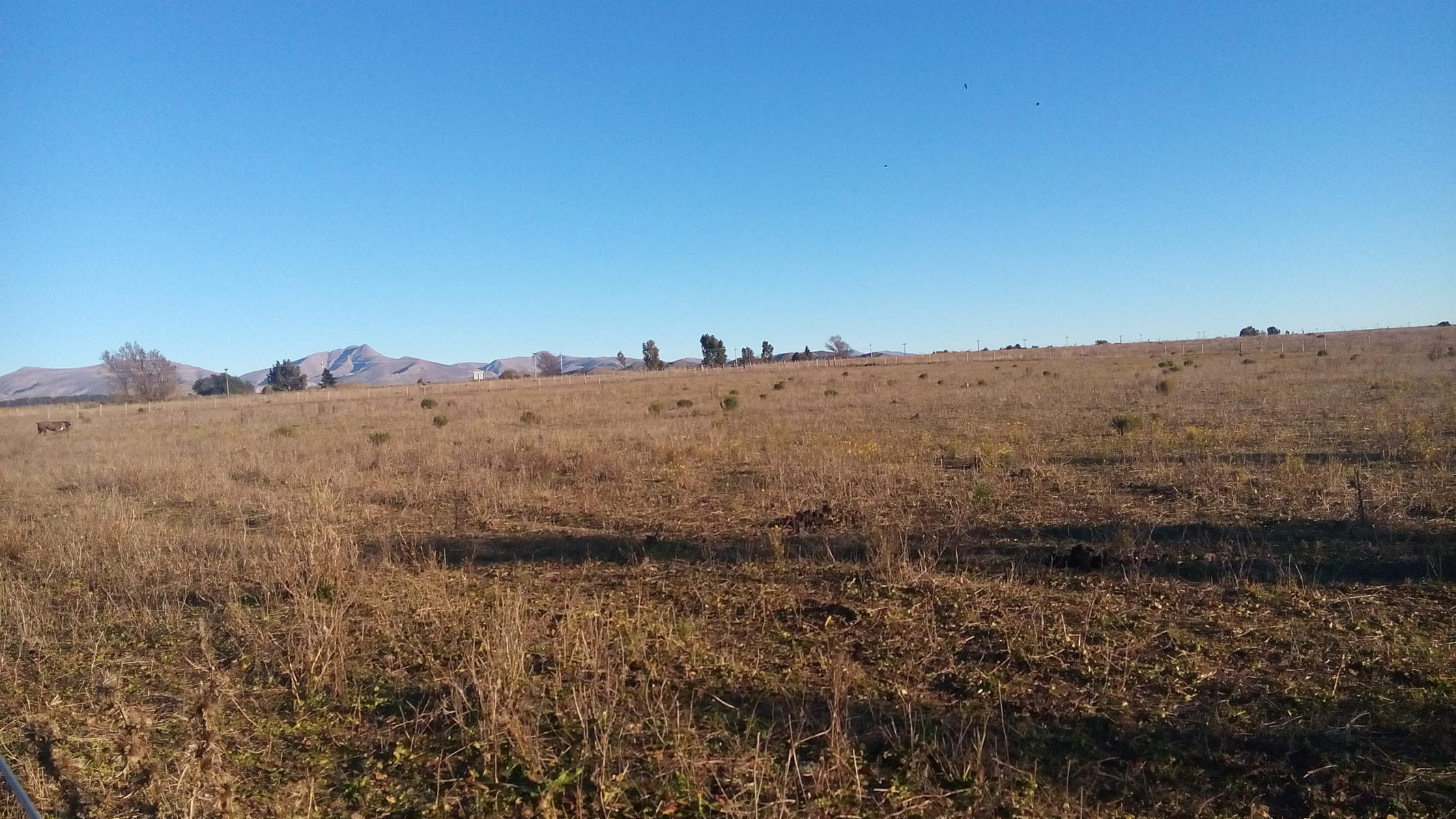 Excelente loteo de 20 x 50 en Sierra de la Ventana entre Saldungaray - 1