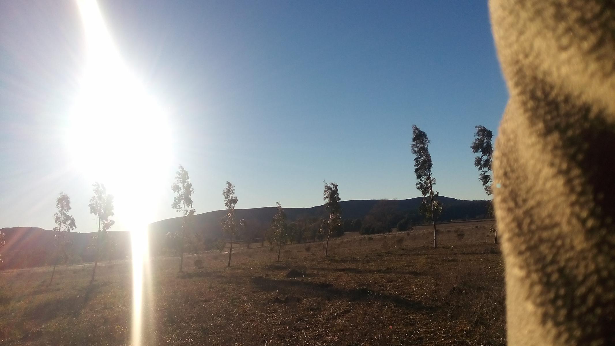 Excelente loteo de 20 x 50 en Sierra de la Ventana entre Saldungaray - 2