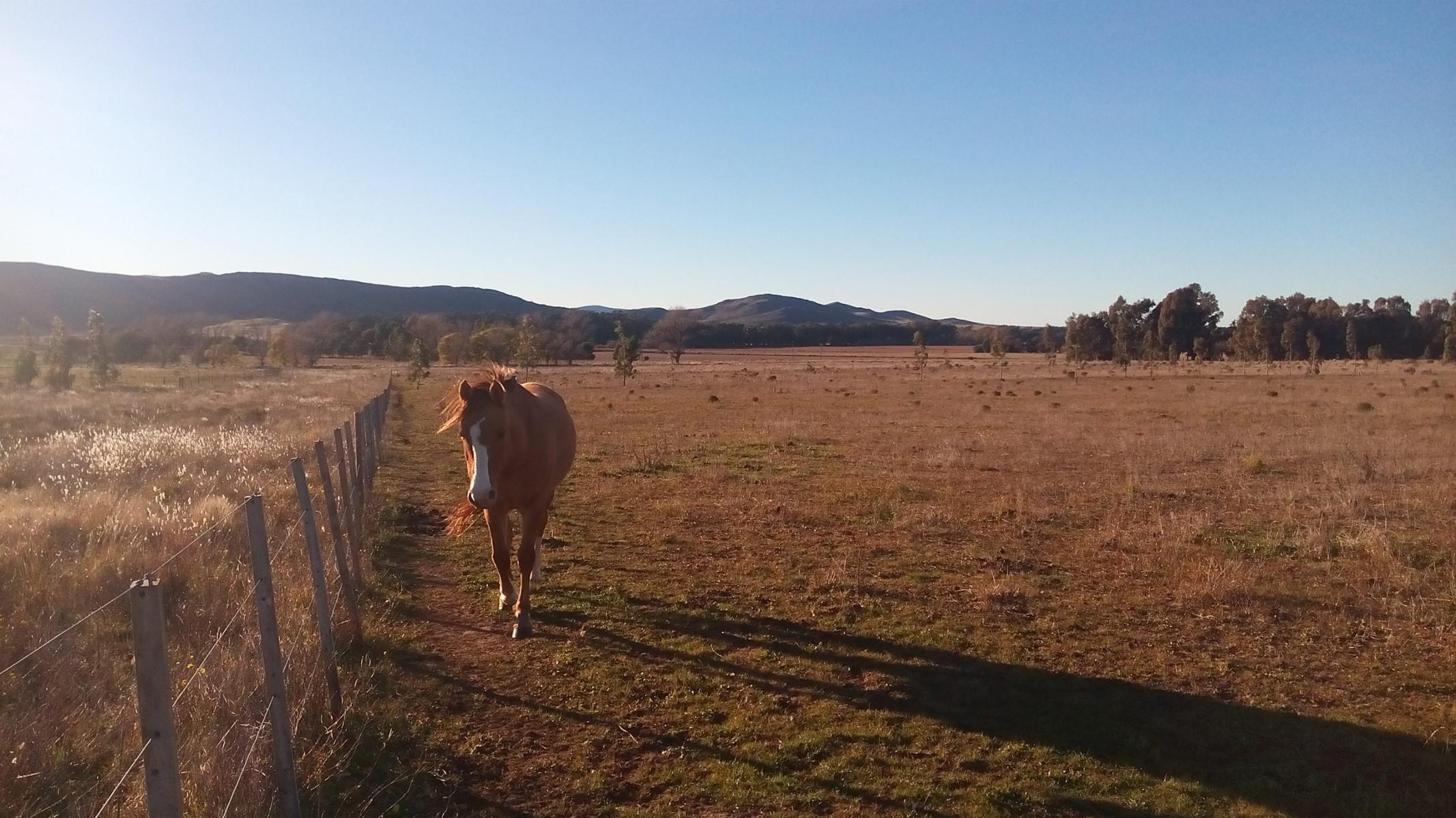 Excelente loteo de 20 x 50 en Sierra de la Ventana entre Saldungaray - 6