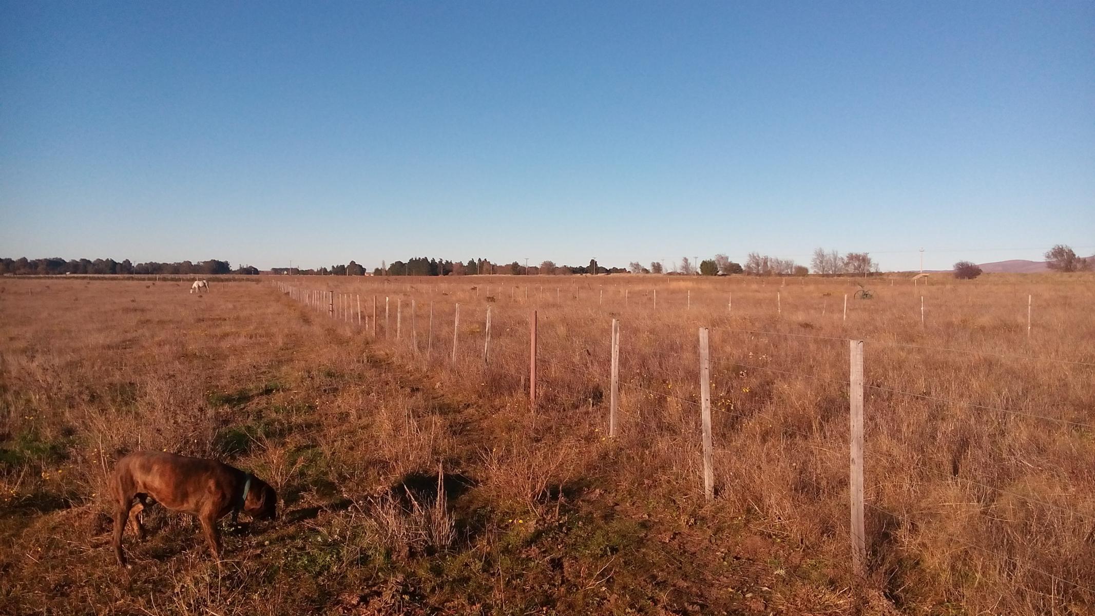 Excelente loteo de 20 x 50 en Sierra de la Ventana entre Saldungaray - 9