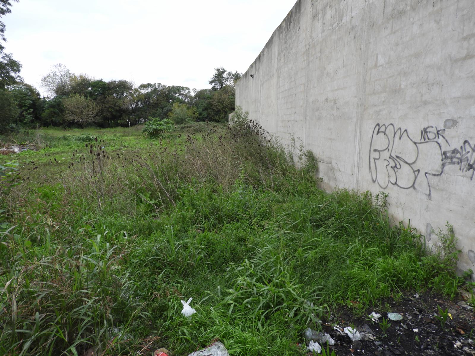 Excelente terreno en zona comercial en Garin sobre asfalto de 12 de frente x 50 de fondo — foto 4
