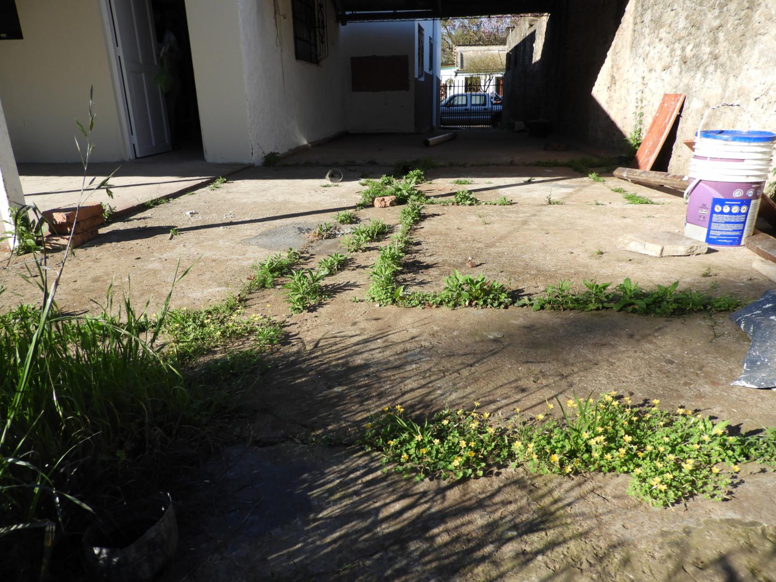EXCELENTE PROPIEDAD DE 4 AMBIENTES CON ENTRADA DE AUTOS SOBRE LOTE DE 15X50 — foto 8