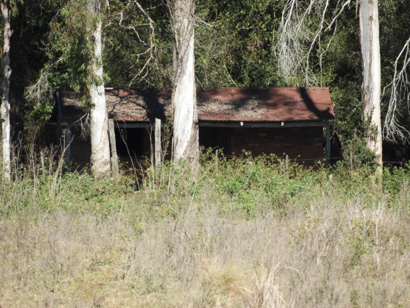 EXCELENTE CAMPO DE 100 HECTÁREAS, SOBRE RUTA 94 EN AZARA MISIONES - 1