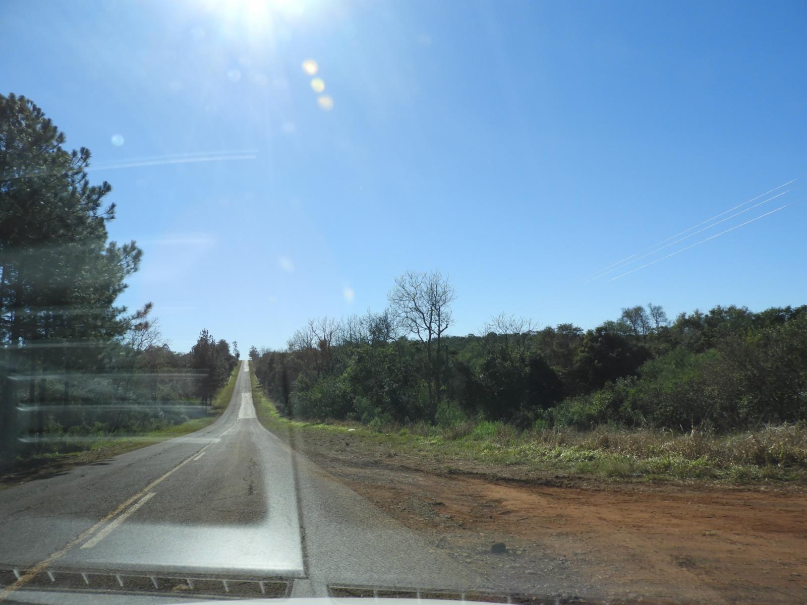 EXCELENTE CAMPO DE 100 HECTÁREAS, SOBRE RUTA 94 EN AZARA MISIONES - 4