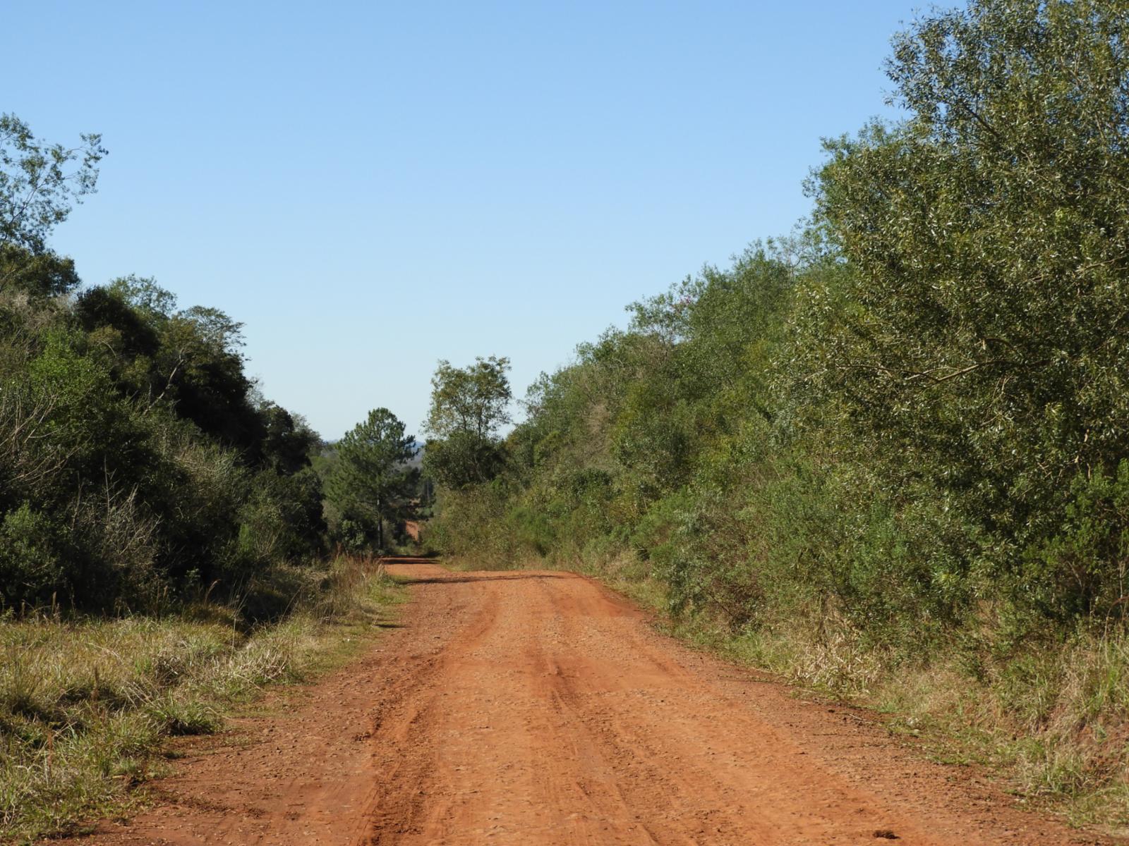 EXCELENTE CAMPO DE 100 HECTÁREAS, SOBRE RUTA 94 EN AZARA MISIONES - 10