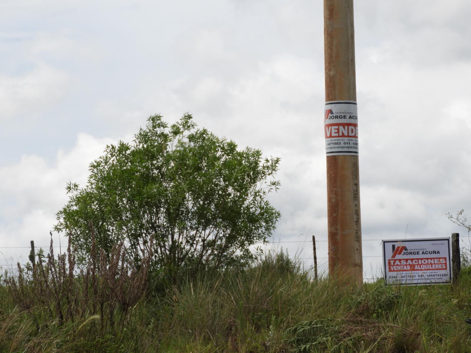 EXCELENTE CAMPO DE 100 HECTÁREAS, SOBRE RUTA 94 EN AZARA MISIONES - 11