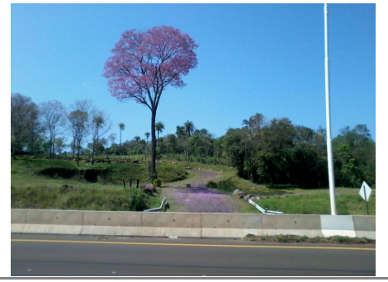 EXCELENTE PROPIEDAD DE 7 HECTÁREAS SOBRE RÍO EN LORETO, DEPARTAMENTO CANDELARIA PCIA. DE MISIONES - 2