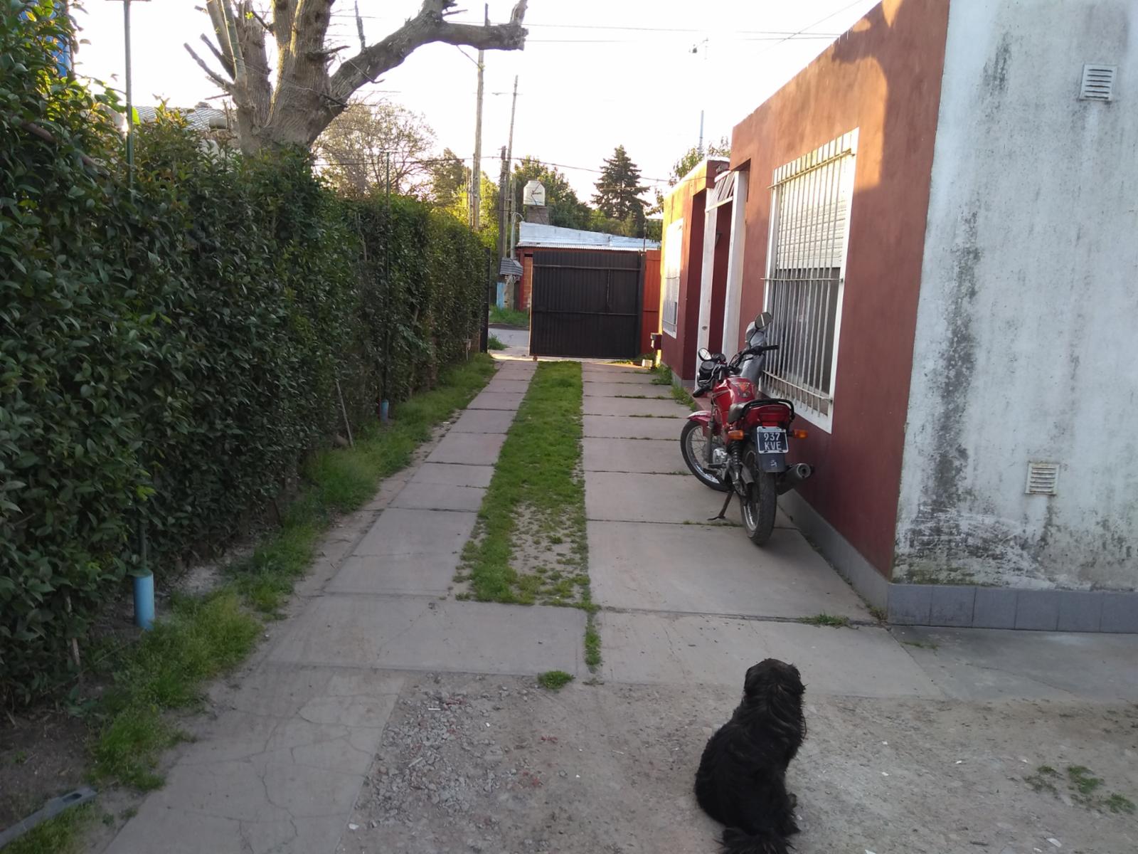 EXCELENTE CONJUNTO DE DEPARTAMENTO, TOTAL CUATRO UNIDADES TODOS ALQUILADOS — foto 3