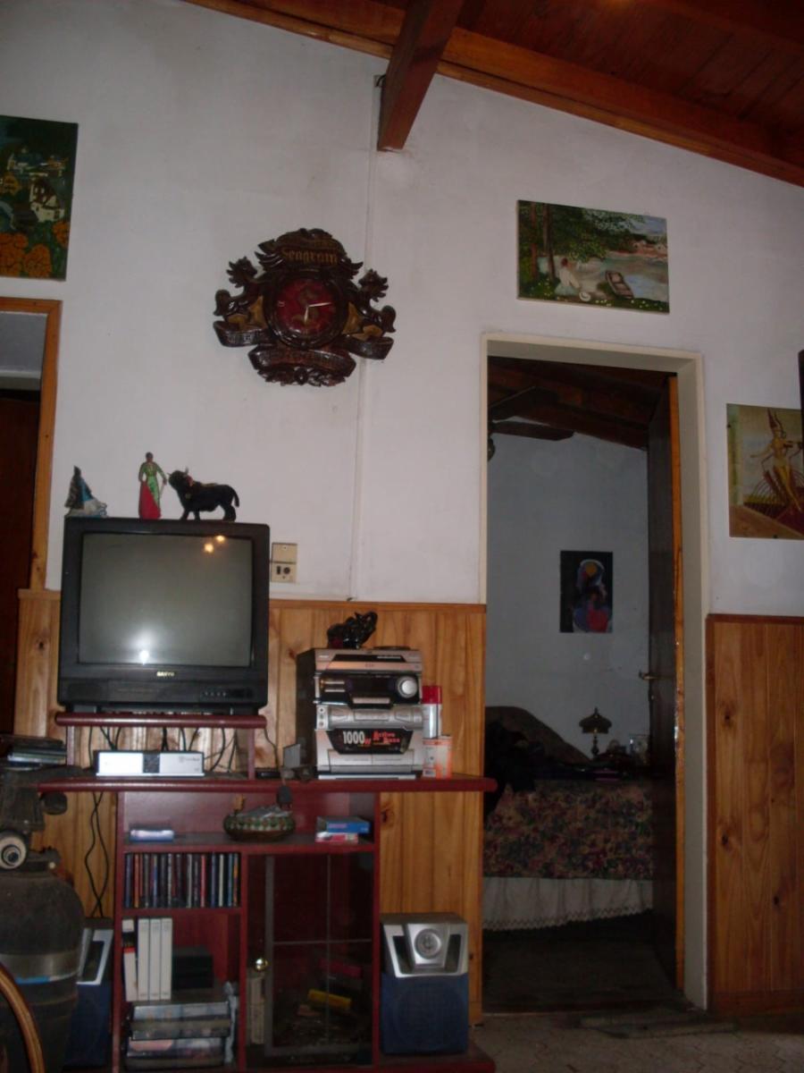 EXCELENTE CASA QUINTA DE TRES AMBIENTES CON GALERIA A REFACCIONAR PISCINA GALPON DE HERRAMIENTAS Y AMPLIO PATIO SOBRE CALLE CON ASFALTO A 500 METROS DE COLECTORA OESTE RUTA 9 — foto 7