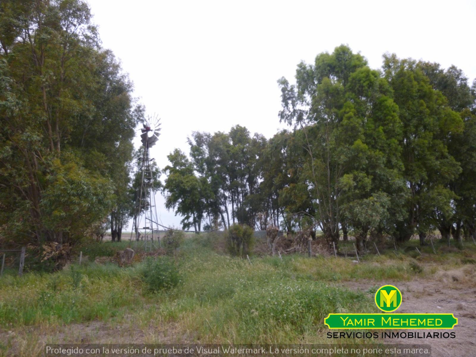 CAMPO EN ZONA EL ZORRO DE CORONEL DORREGO - 3