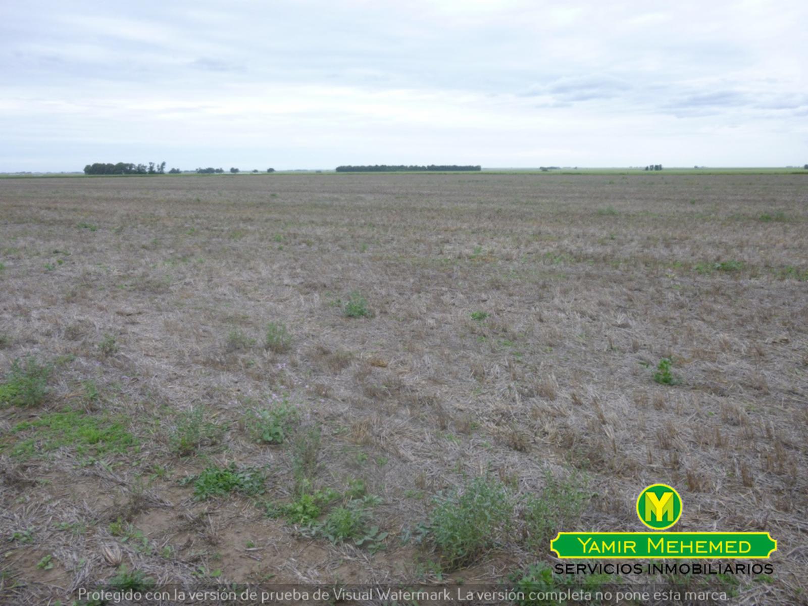 CAMPO EN ZONA EL ZORRO DE CORONEL DORREGO - 5