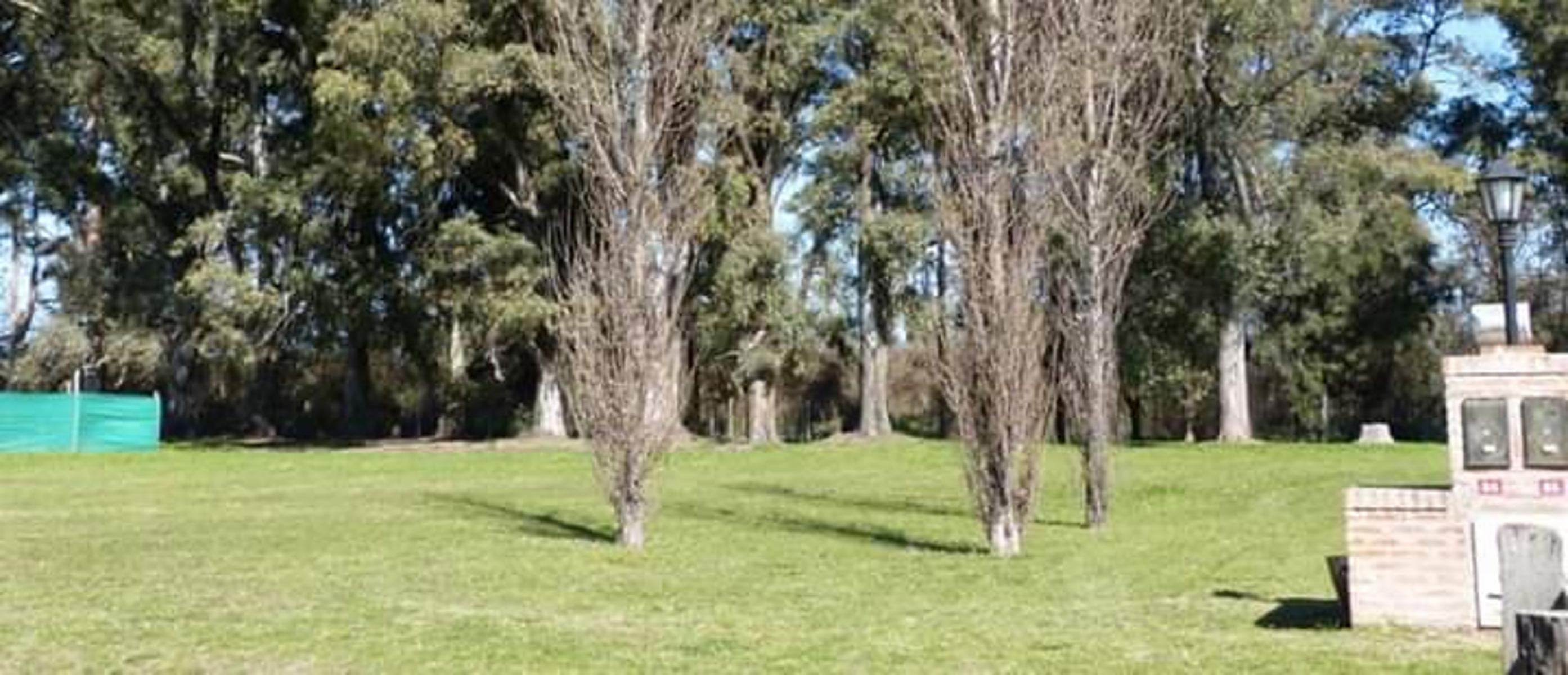 Lote/Terreno de gran dimensión en Barrio privado Comarca de Lujan (Barrio santa Irene) — foto 3