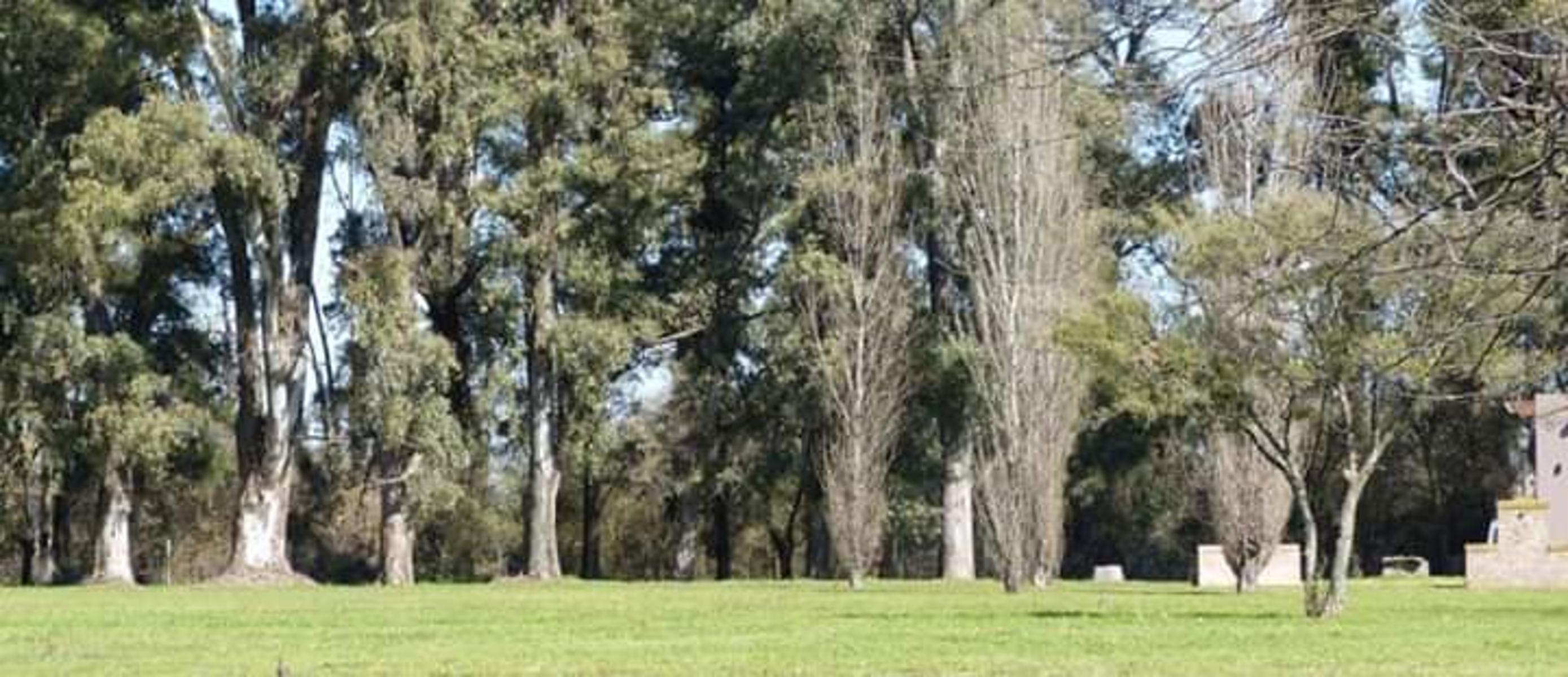 Lote/Terreno de gran dimensión en Barrio privado Comarca de Lujan (Barrio santa Irene) — foto 7
