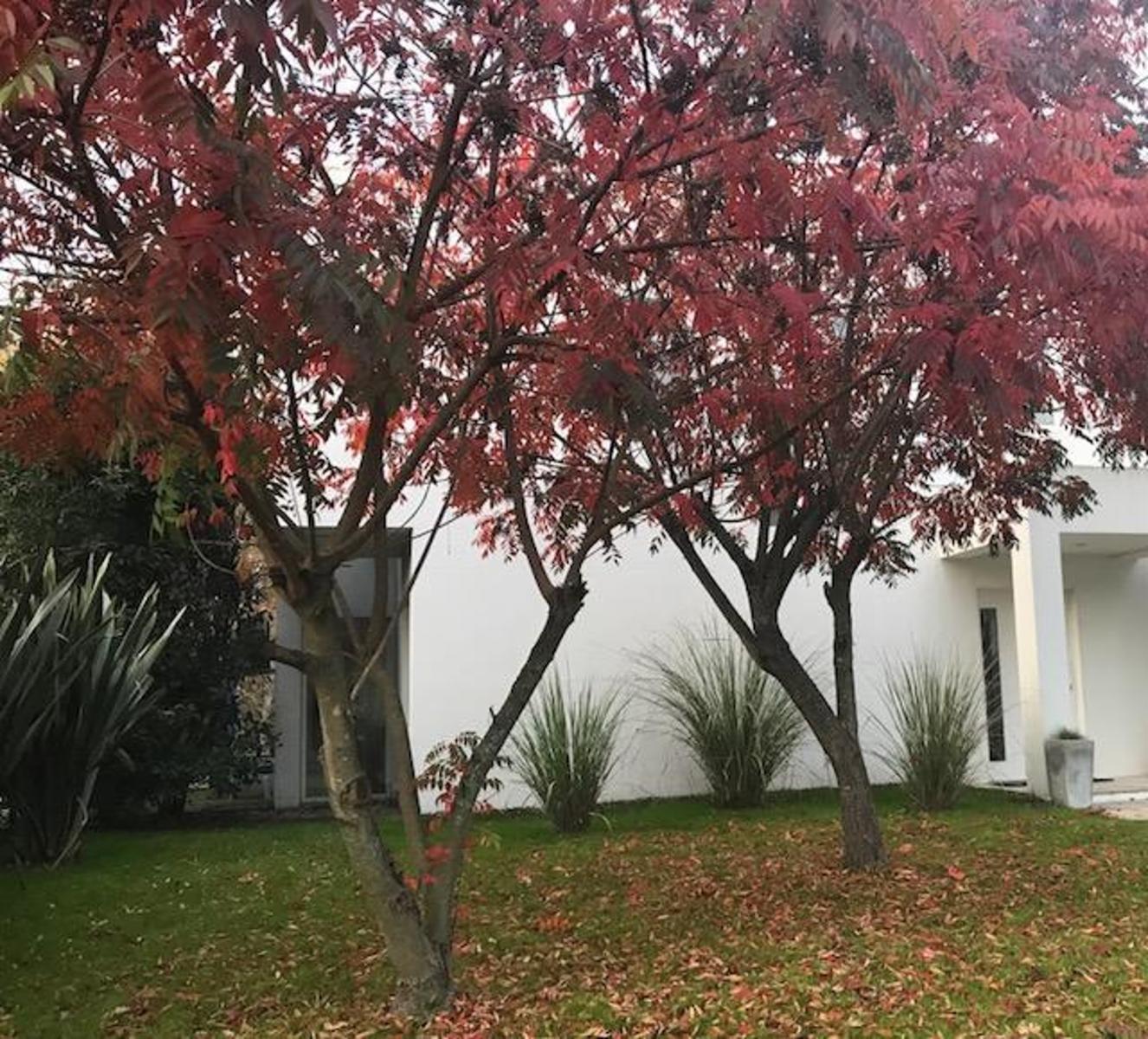 Casa en venta de lujo estilo minimalista en venta en Country Banco Provincia — foto 7
