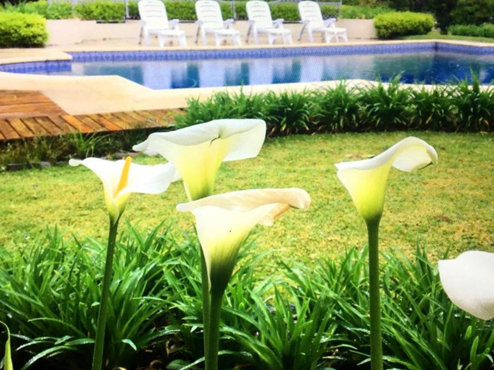 Magnifica Casa 5 ambientes - Country Club San Diego — foto 15