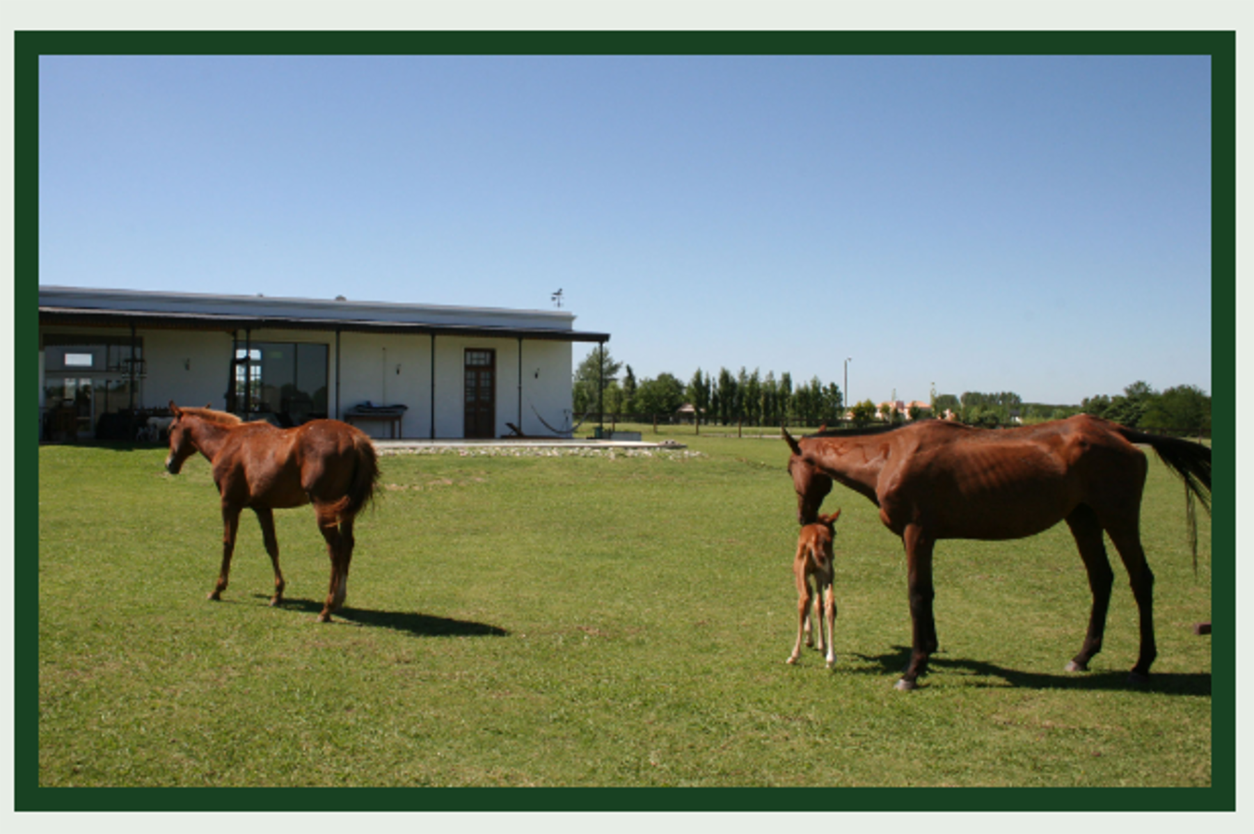 OPORTUNIDAD DE INVERSION - LOTE EN VENTA -CLUB DE CAMPO LA RANITA - OPEN DOOR — foto 11
