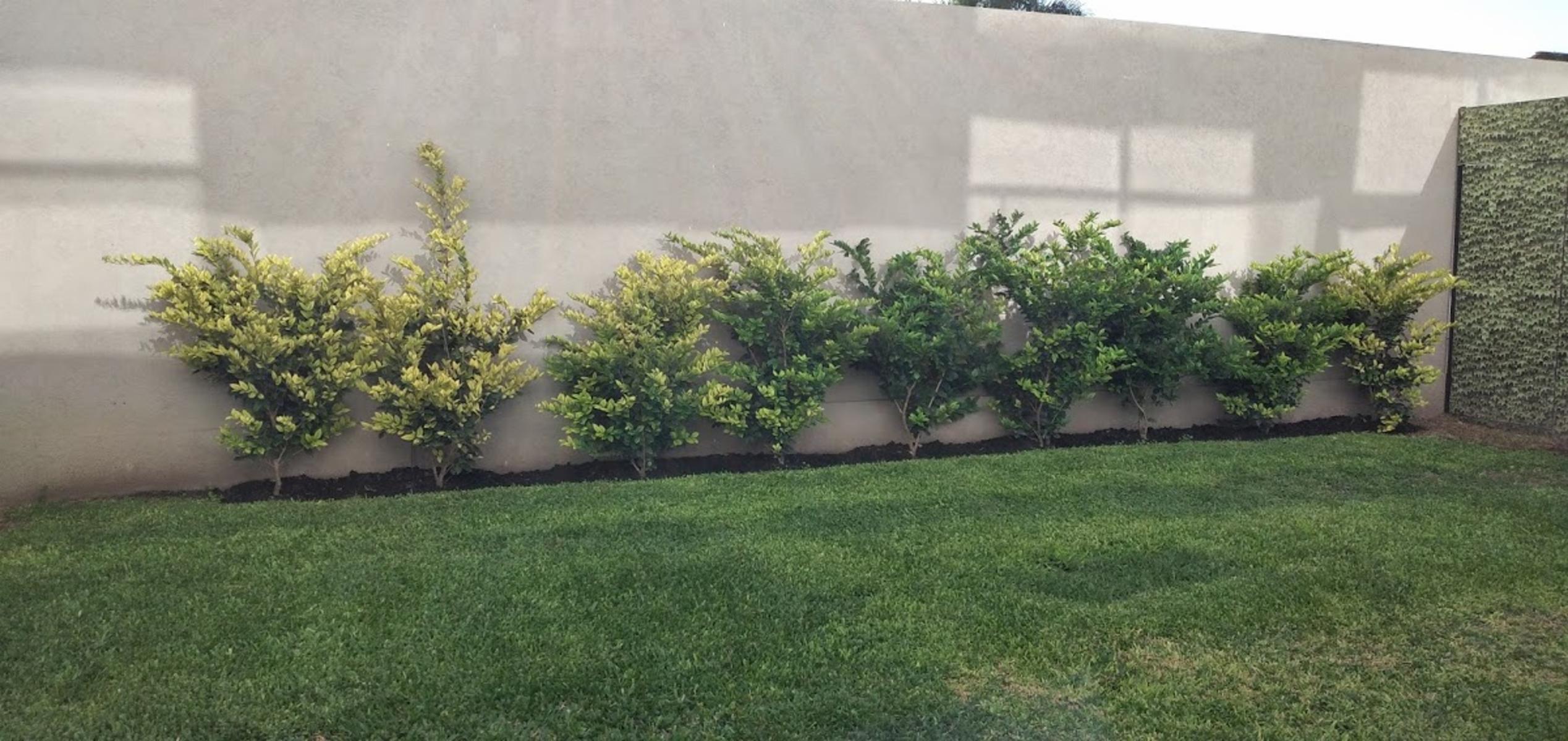 EXCLUSIVO DPTO. 2 AMB EN ITUZAINGO — foto 6