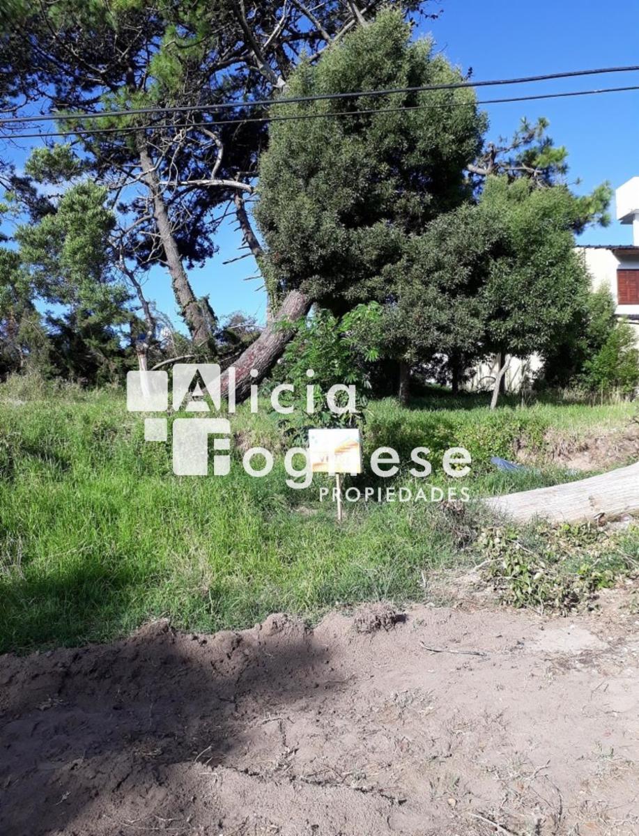 Lote Multifamiliar/Comercial en Venta - Zona Céntrica con Gran Potencial — foto 3