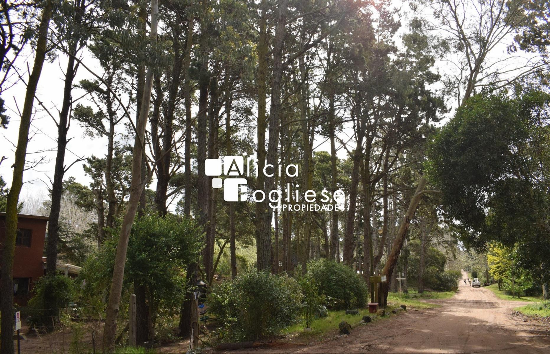 Lote en Venta en Mar Azul - Excelente Ubicación y Potencial Residencial