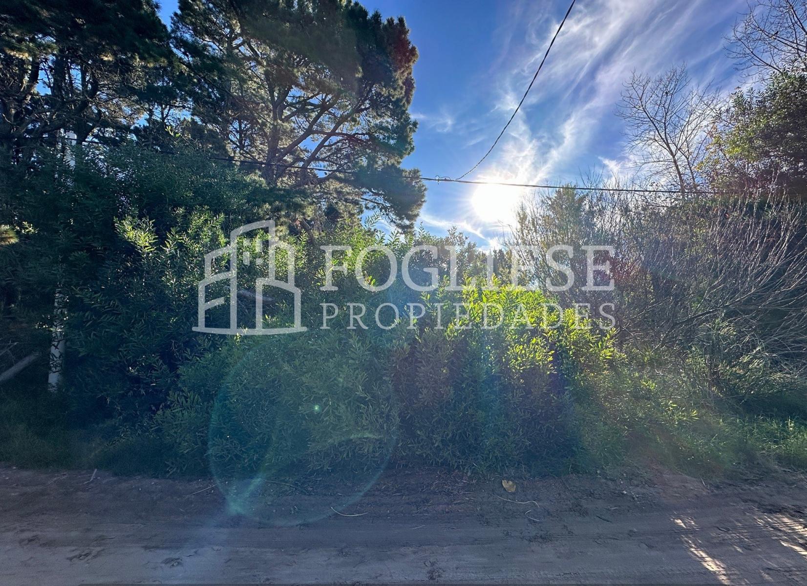 Lote en Venta Mar de las Pampas de 450 m2 — foto 2